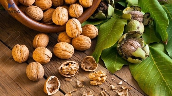 گرنگی خواردنی گوێز لە بەیانیاندا