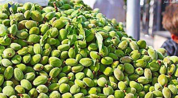 سوودە تەندروستییەکانی خواردنی چوالە