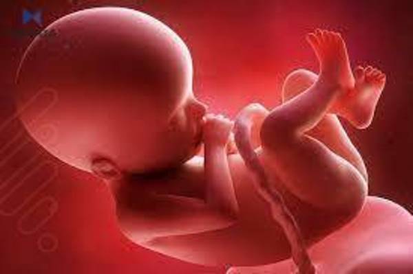 هۆکار و چارەسەرەکانی دواکەوتنی گەشەی منداڵان