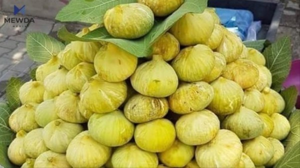 11 سوودی سەرسوڕهێنەری هەنجیر