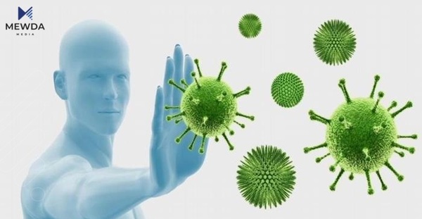 شەش خواردن بەرگریی لەش بەهێز دەکەن
