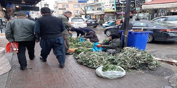 گۆزروانە خواستی زۆری لەسەرە