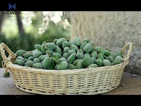 بە وێنە، فەریکە چوالە