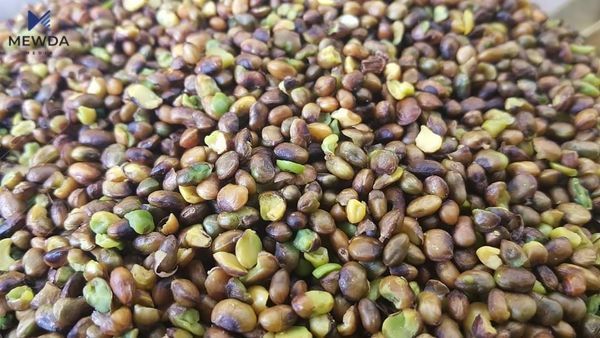 سوودە سەرسوڕهێنەرەکانی قەزوان بۆ تەندروستی