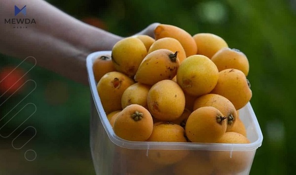 گرنگترین سوودهکانی هەنگی دونیا