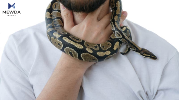 مارێك خۆى لە ملی خاوهنهكهی دەئاڵێنێت