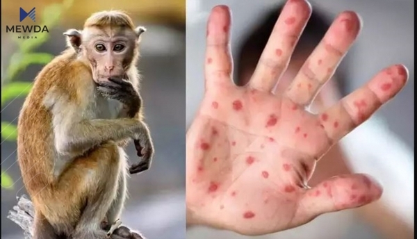 نەخۆشییە پیسەکە لە مرۆڤەوە بۆ ئاژەڵ دەگوازرێتەوە