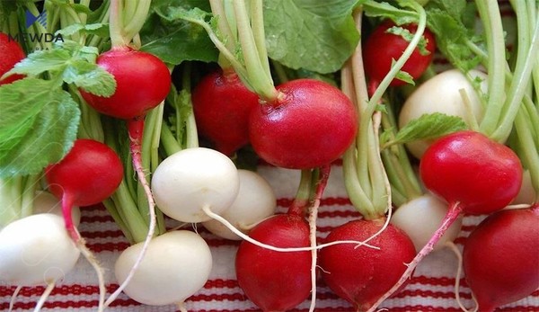 سوودە تەندروستییەکانی توور
