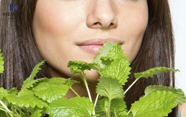 چارەسەرکردنی نەخۆشییەکان بە دەرمانی گیایی و بەرهەمە سروشتییەکان