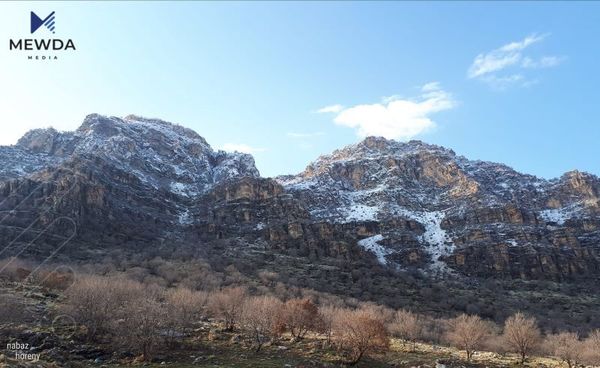 شاخی بەمۆ، شاخە چوارگۆشەکەی کوردستان
