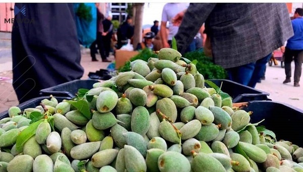 گرنگترین سوودەکانی چوالەی سەوز