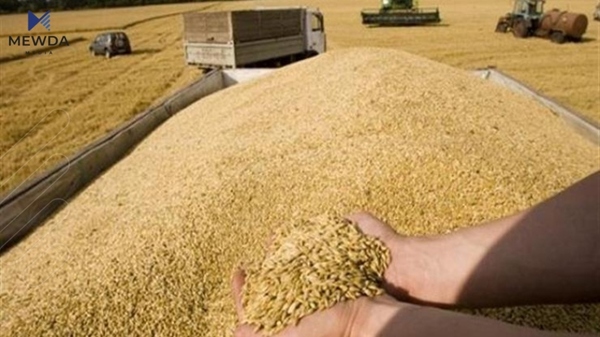 نرخی کڕینی گەنمی جوتیاران بۆ ئەمساڵ دیاریکرا