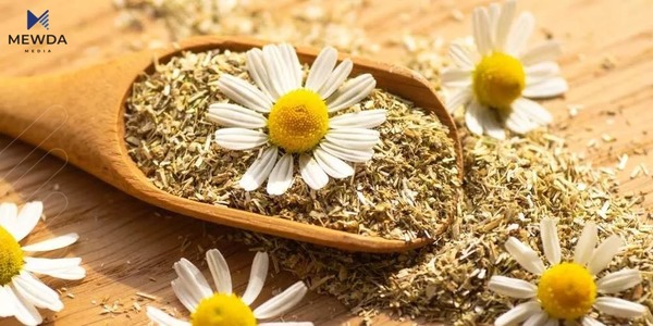 بەرنامەی گیاخانە؛ سوودی گوڵە بەیبوون