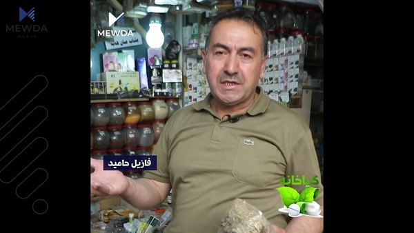 بەرنامەی گیاخانە؛ سوودەکانی گیا مارانە