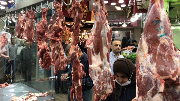 قائیمقامیەتی سلێمانی: گۆشت و ئاژهڵی زیاتر هاورده دهكرێت