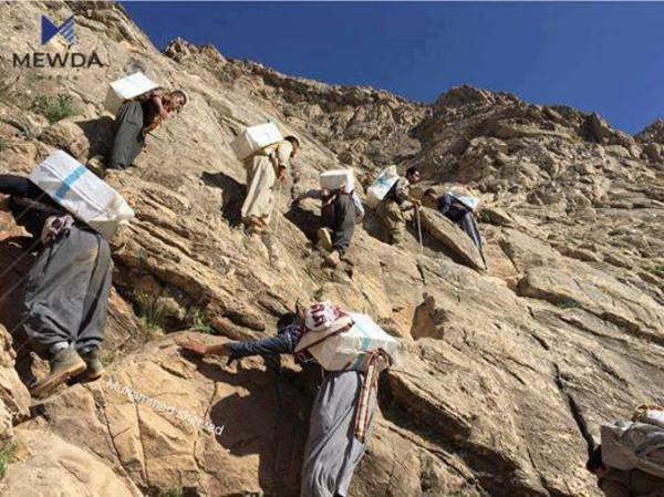 نوێترین ئامارى قوربانییانى كۆڵبهر له ماوهى 12 ساڵدا بڵاو دهكرێتهوه
