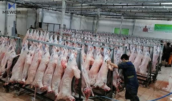 كوشتارگه‌یه‌كى مۆدێڕن له‌م سنووره‌ دروستده‌كرێت