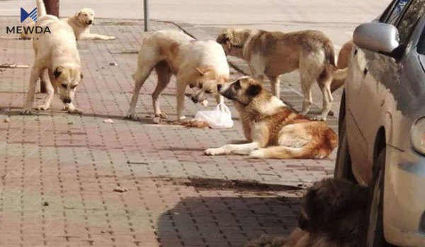 كوردستان رووبه‌ڕووى مه‌ترسییه‌كى گه‌وره‌ بووه‌ته‌وه‌