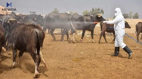 تای خوێنبەربوون و نیشانەكانی و چۆنیەتی خۆپاراستن