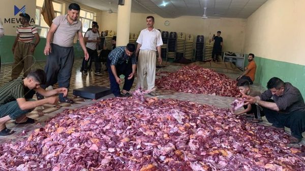 بۆ قوربانیكردنێكى سهلامهت دهبێت ئهم مهرجانه جێبهجێبكرێت