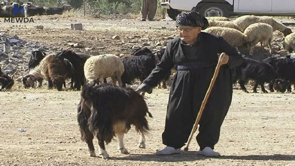 ئهنجامدانى قوربانى لهم جهژنهدا كهمیكردووه