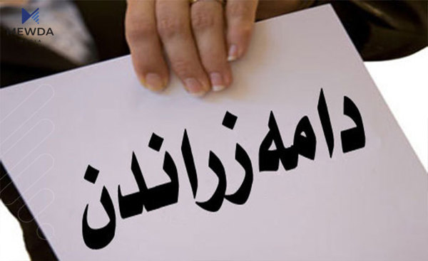 ئهنجامى دامهزراندنى ئهم جۆره كهسانه رادهگهیهندرێت