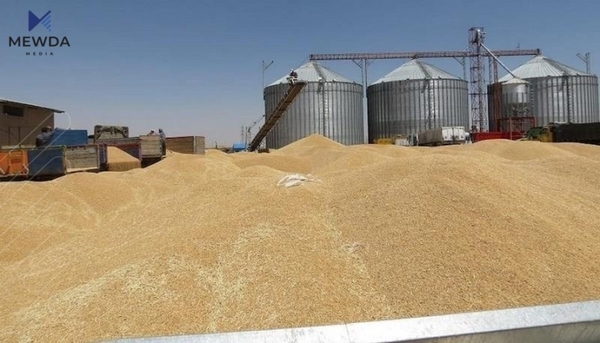 ئهمڕۆ چهكى پارهى گهنمى جووتیاران دابهشدهكرێت