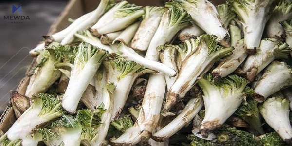 سوودە سەرسوڕهێنەرەکانی خواردنی کنگر بزانە و گرنگی زیاتر بدە بەخواردنی