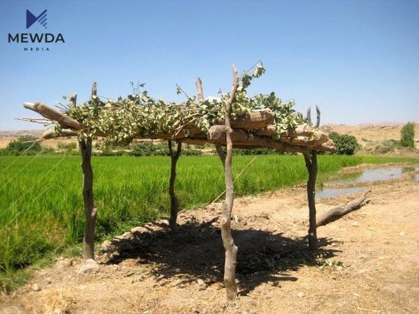 کەپرەشینە چییە و ئەو ناوە لە چییهوە هاتووە، وه لە چی مانگێكى ساڵدا روو دەدات؟