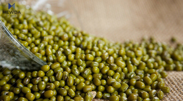ماش گهیشته كوردستان و دابهش دهكرێت