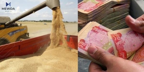 نرخى گهنم بۆ زهوى بهراو جیاواز دهبێت له زهوییهك بهراو نهبێت