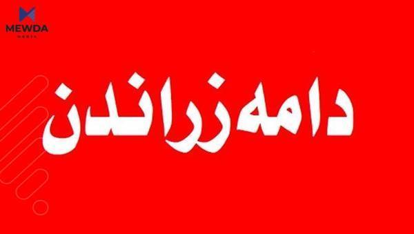 100 كهس به گرێبهستى رۆژانه دادهمهزرێندرێن