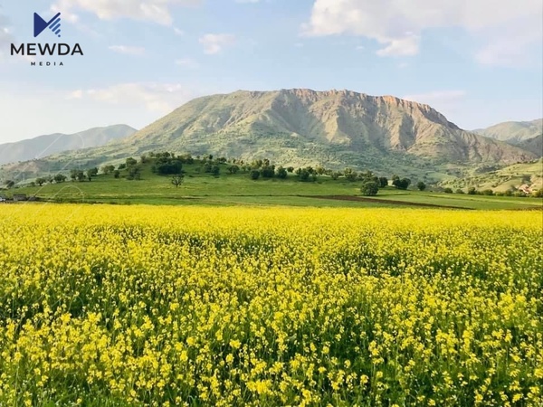 بەوێنە..  سروشتی گوندی باناڵێی شارباژێر 