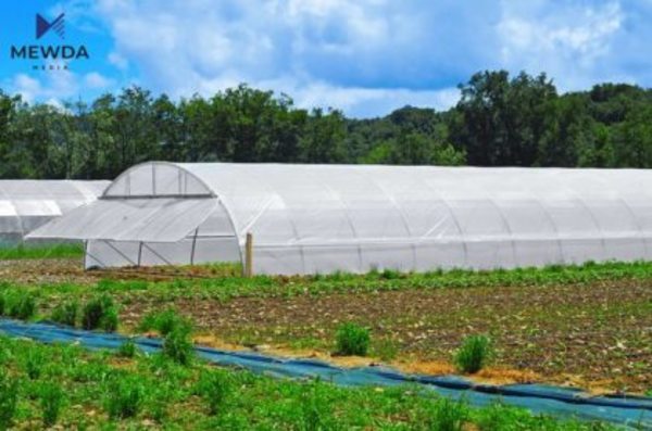 بازیان به‌شى عیراق به‌رهه‌مى سه‌وزه‌ى هه‌یه‌