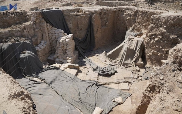 گایەكی باڵدار دۆزرایەوە كە مێژووەكەی 2700 ساڵە