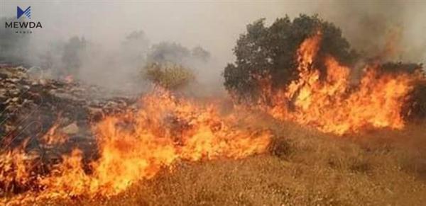 سێ‌ كەس بە تۆمەتی سووتاندنی پوش و پاوان دەستگیركران