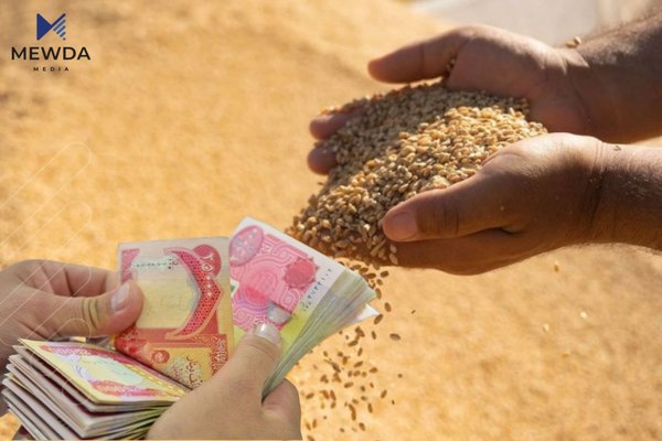 لە سبەینێوە دەستدەكرێت بە دابەشكردنی پارەی گەنمی جوتیاران