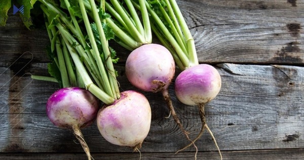 ئەوەی لەبارەی شێلمەوە نەتزانیوە