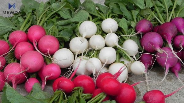 تور یه‌كێكه‌ له‌ سه‌وزه‌ گرنگ و به‌سوده‌كان