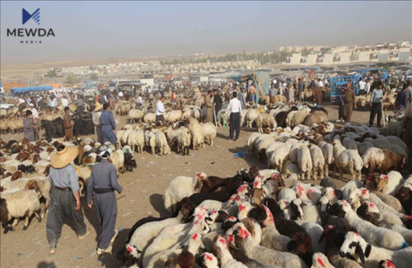 هاوڵاتییان لە مەترسییەک ئاگادار دەکرێنەوە