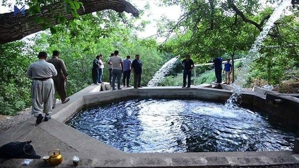 هەرێمی كوردستان.. ماسی سەلەمۆن لە لووتكەی شاخی سووركێو