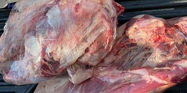 لیژنەكانی قایمقامیەتی سلێمانی هۆشداری دەدەن
