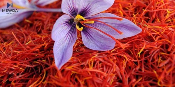 زەعفەران توانای سێکسی زیاد دەکات